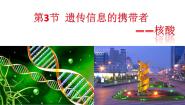 高中生物人教版 (新课标)必修1《分子与细胞》第3节 遗传信息的携带者──核酸示范课ppt课件