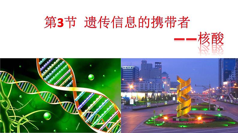 高中生物人教版 (新课标) 必修1课件 2.3 遗传信息的携带者—核酸01