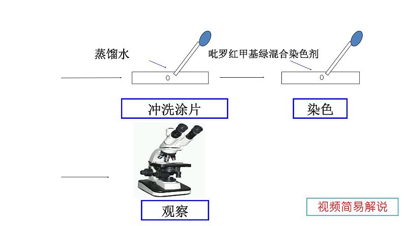 高中生物人教版 (新课标) 必修1课件 2.3 遗传信息的携带者—核酸08