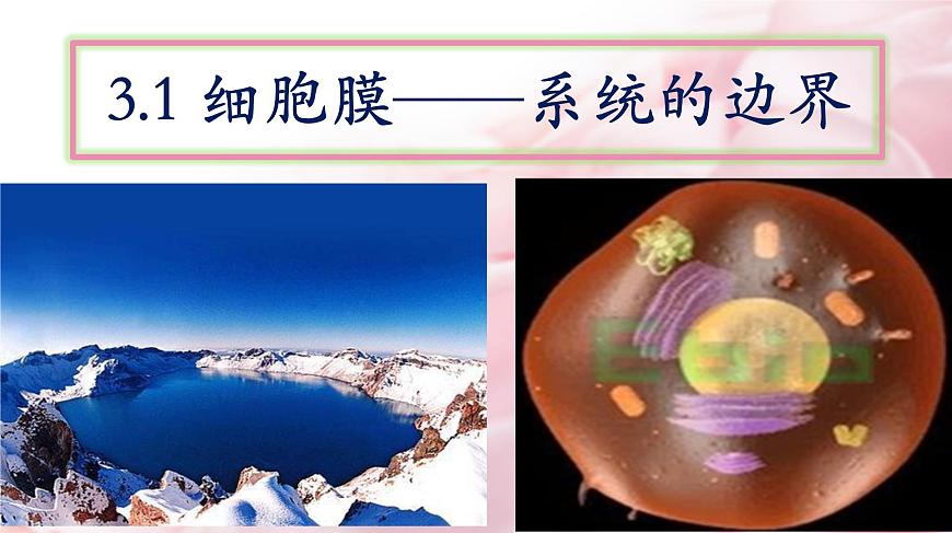 高中生物人教版 (新課標(biāo)) 必修1課件  3.1細(xì)胞膜 系統(tǒng)的邊界第2頁