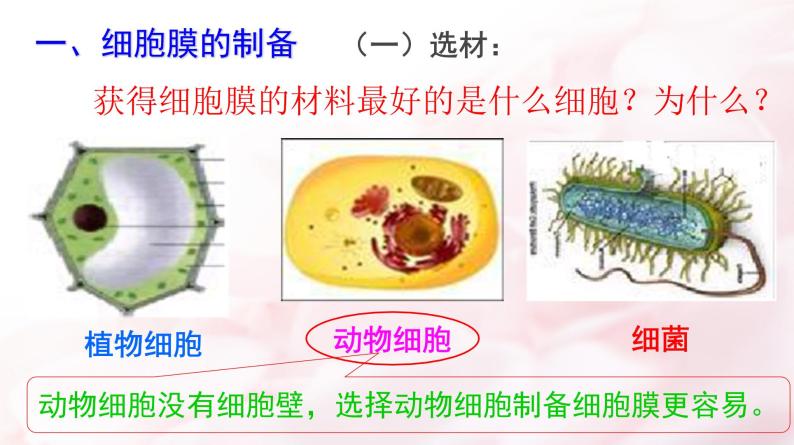 高中生物人教版 (新课标) 必修1课件  3.1细胞膜 系统的边界04