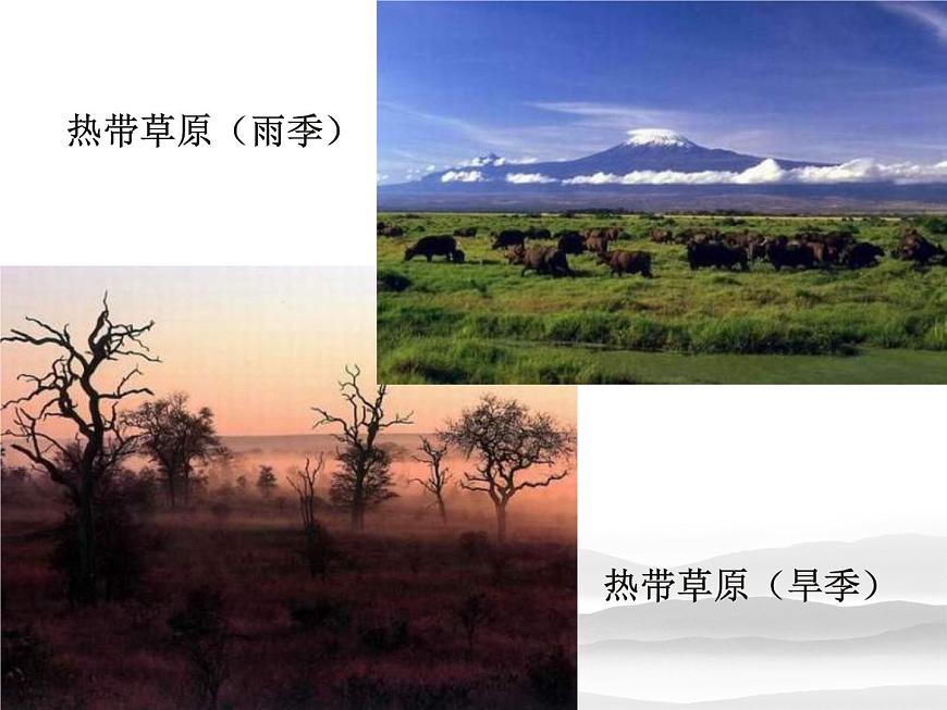 高中生物人教版 (新課標(biāo)) 必修1課件  2.5 細(xì)胞中的無機(jī)物第3頁
