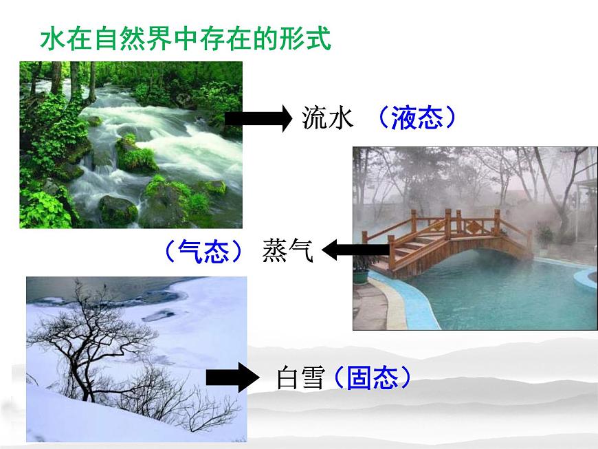 高中生物人教版 (新課標(biāo)) 必修1課件  2.5 細(xì)胞中的無機(jī)物第8頁