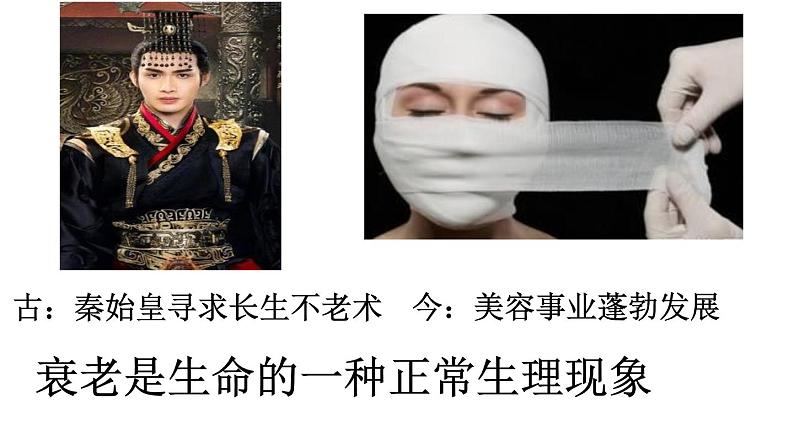 高中生物人教版 (新课标) 必修1课件 6.3、6.4 细胞的衰老和凋亡、细胞癌变01