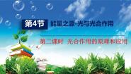 生物必修1《分子与细胞》二 光合作用的原理和应用[55]集体备课ppt课件