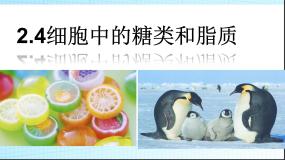 人教版 (新课标)必修1《分子与细胞》第4节 细胞中的糖类和脂质课文课件ppt