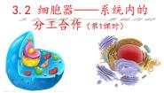 高中生物人教版 (新课标)必修1《分子与细胞》第三章 细胞的基本结构第2节 细胞器──系统内的分工合作图文课件ppt