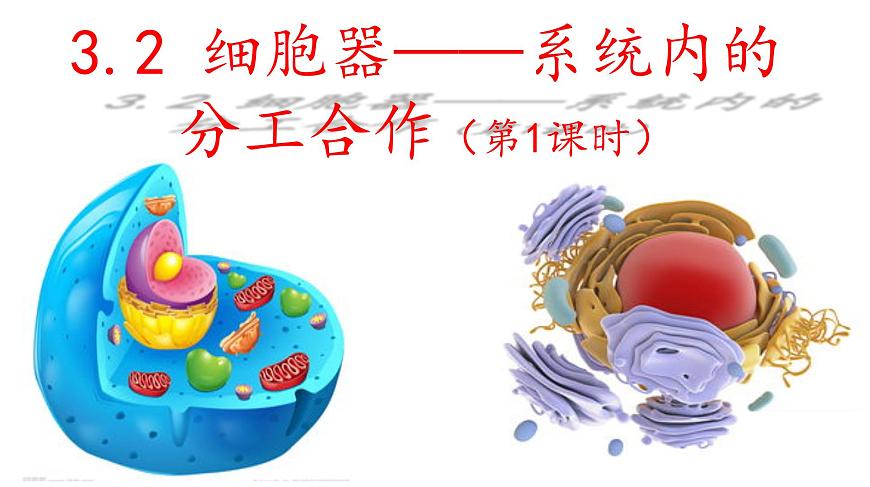 高中生物人教版 (新課標) 必修1課件  3.2 細胞器—系統(tǒng)內(nèi)的分工合作第1頁