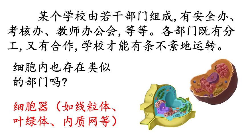 高中生物人教版 (新課標) 必修1課件  3.2 細胞器—系統(tǒng)內(nèi)的分工合作第2頁