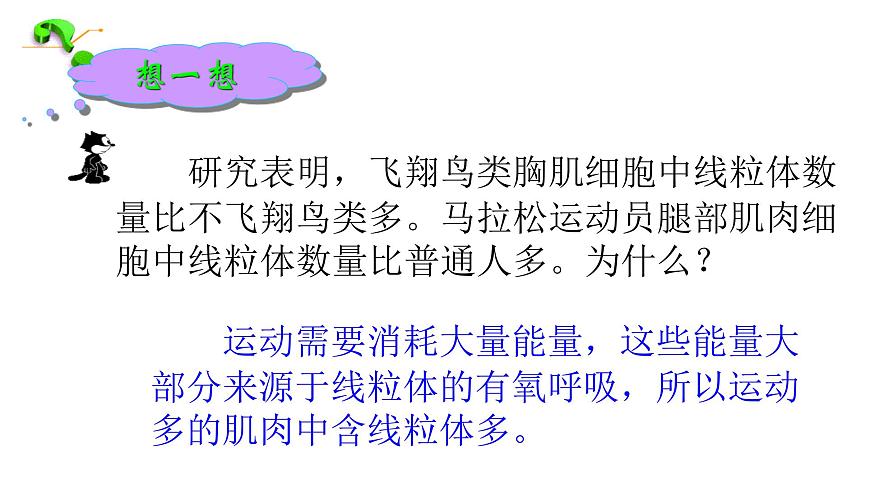 高中生物人教版 (新課標) 必修1課件  3.2 細胞器—系統(tǒng)內(nèi)的分工合作第7頁