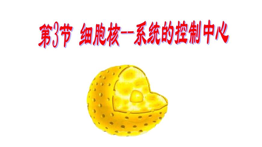 高中生物人教版 (新課標) 必修1課件  3.3細胞核—系統(tǒng)的控制中心第1頁