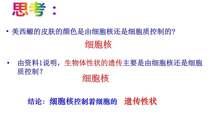 高中生物人教版 (新課標) 必修1課件  3.3細胞核—系統(tǒng)的控制中心第6頁