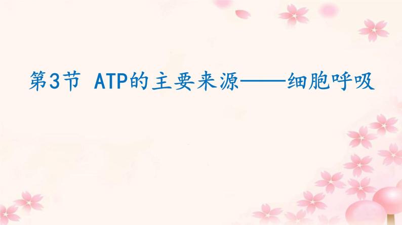 高中生物人教版 (新课标) 必修1课件  5.3 ATP的主要来源—细胞呼吸01