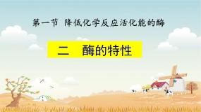高中生物人教版 (新课标)必修1《分子与细胞》二 酶的特性课堂教学ppt课件