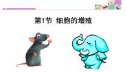 高中生物人教版 (新课标)必修1《分子与细胞》第1节 细胞的增殖背景图课件ppt