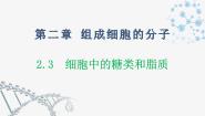 高中生物人教版 (新课标)必修1《分子与细胞》第4节 细胞中的糖类和脂质课前预习ppt课件