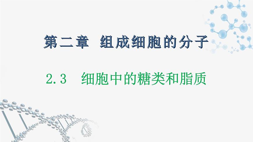 2.3 細胞中的糖類和脂質課件PPT第1頁