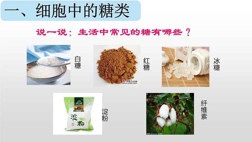 2.3 細胞中的糖類和脂質課件PPT第4頁