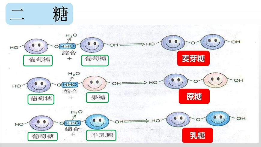2.3 細胞中的糖類和脂質課件PPT第8頁