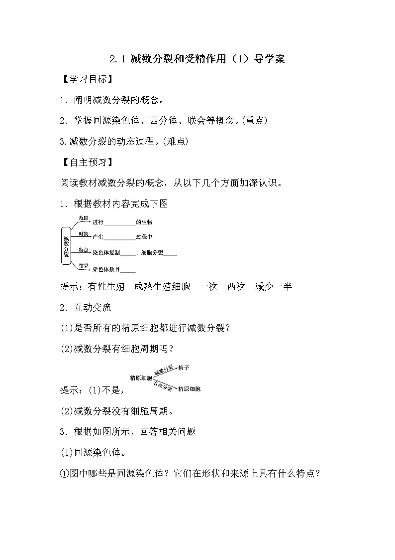人教版高中生物必修2《遺傳與進化》2.1 減數(shù)分裂和受精作用（1）導學案第1頁