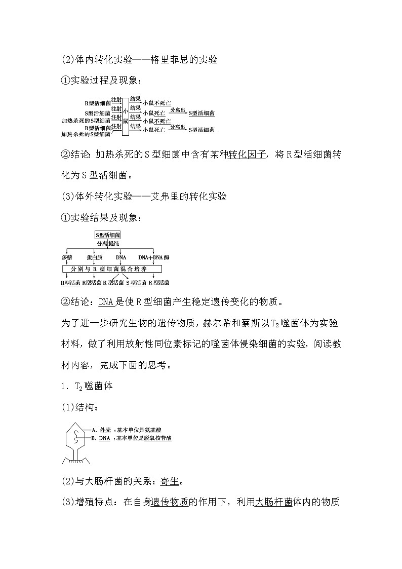 人教版高中生物必修2《遺傳與進(jìn)化》3.1 DNA是主要遺傳物質(zhì)導(dǎo)學(xué)案第2頁(yè)