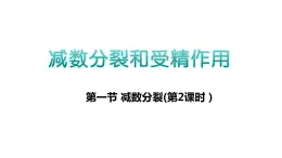 高中生物人教版 (新课标) 必修2课件 2.1 减数分裂和受精作用（2）