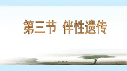 高中生物人教版 (新课标)必修2课件 2.3 伴性遗传