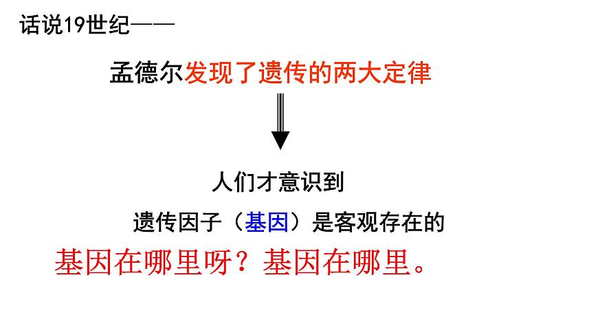 高中生物人教版 (新課標(biāo))必修2課件 2.2 基因在染色體上第3頁