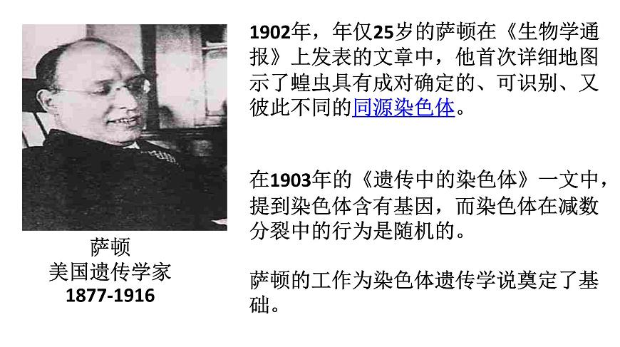 高中生物人教版 (新課標(biāo))必修2課件 2.2 基因在染色體上第4頁