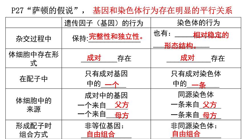 高中生物人教版 (新課標(biāo))必修2課件 2.2 基因在染色體上第6頁