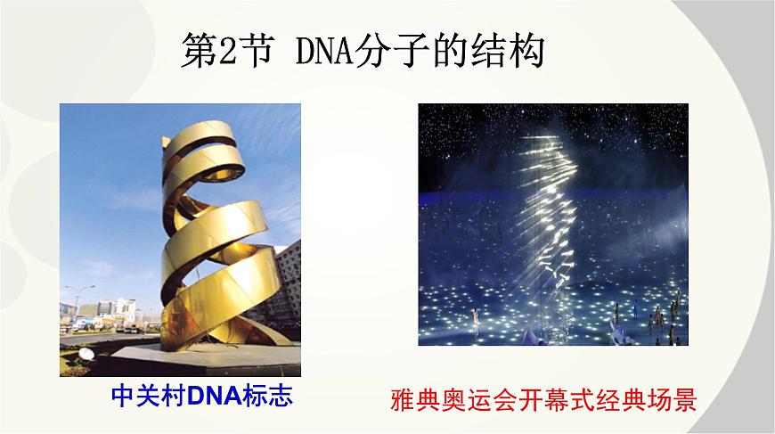 高中生物人教版 (新課標(biāo))必修2課件 3.2 DNA分子的結(jié)構(gòu)第2頁