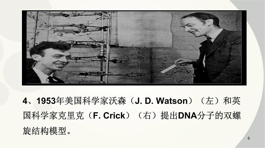 高中生物人教版 (新課標(biāo))必修2課件 3.2 DNA分子的結(jié)構(gòu)第6頁