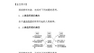 高中生物人教版 (新课标)必修2《遗传与进化》第五章 基因突变及其他变异第3节 人类遗传病学案及答案