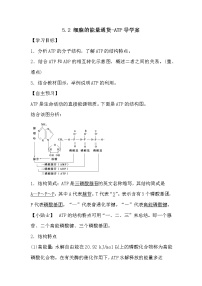 人教版 (新课标)必修1《分子与细胞》第2节 细胞的能量“通货”──ATP导学案