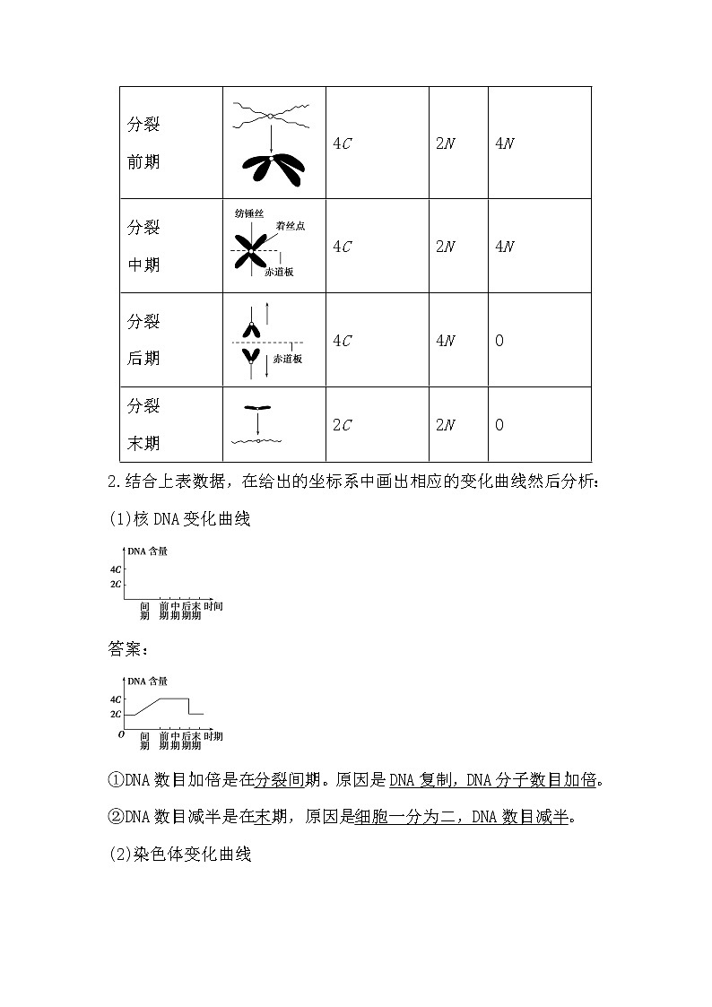 人教版高中生物必修一分子与细胞6.1 细胞的增殖(2)导学案02
