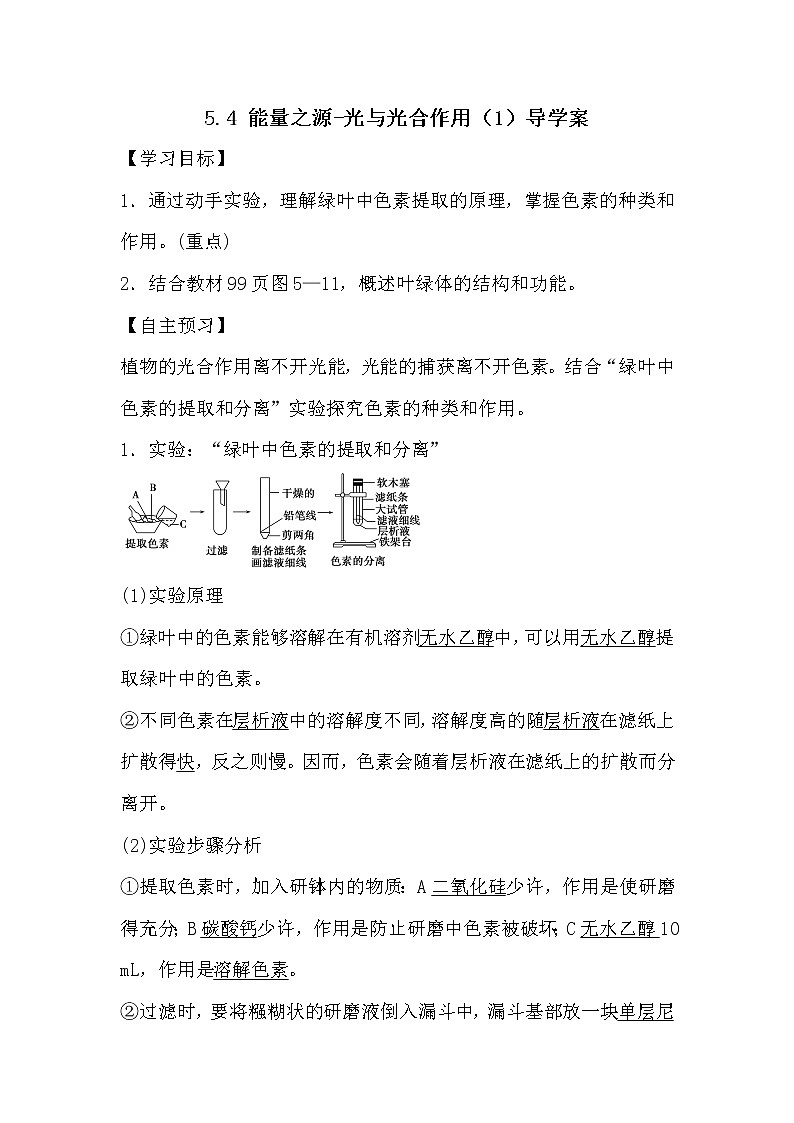 人教版高中生物必修一分子与细胞5.4 能量之源-光与光合作用(1)导学案01