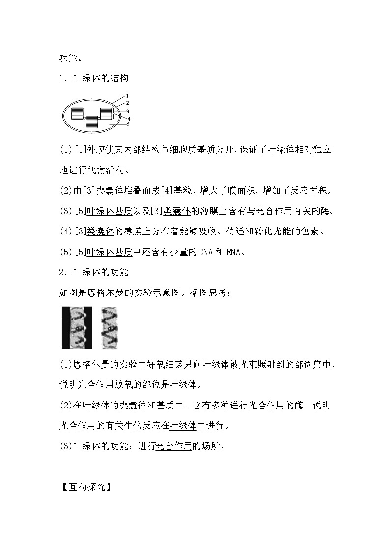 人教版高中生物必修一分子与细胞5.4 能量之源-光与光合作用(1)导学案03