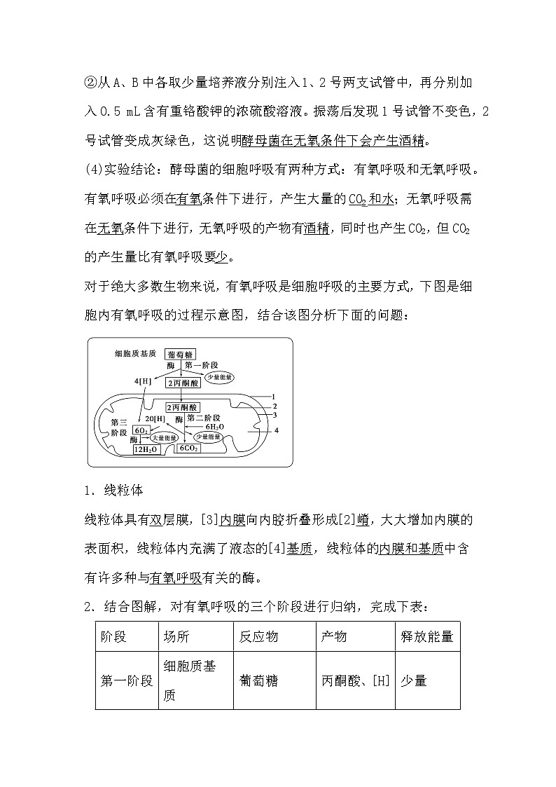 人教版高中生物必修一分子与细胞5.3 ATP的主要来源-细胞呼吸(1)导学案03