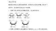 人教版 (新课标)必修1《分子与细胞》第4节 细胞中的糖类和脂质导学案及答案