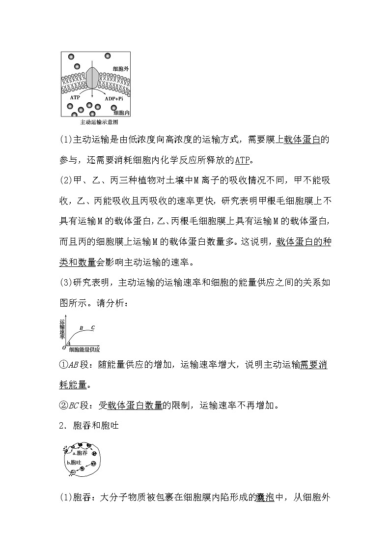 人教版高中生物必修一分子與細(xì)胞4.3 物質(zhì)跨膜運(yùn)輸?shù)姆绞綄?dǎo)學(xué)案第3頁