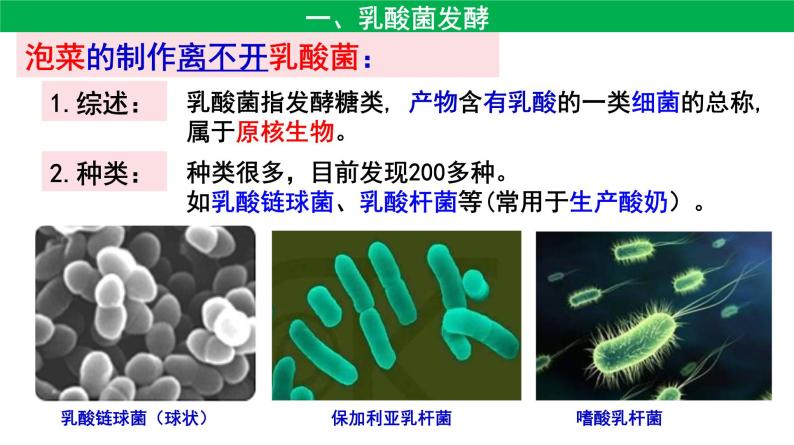 高中生物人教版 (新课标) 选修1　1.3泡菜的制作 课件05