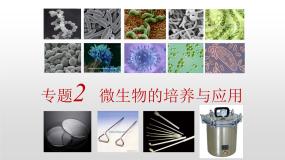 人教版 (新课标)选修1《生物技术实践》课题1 微生物的实验室培养示范课ppt课件