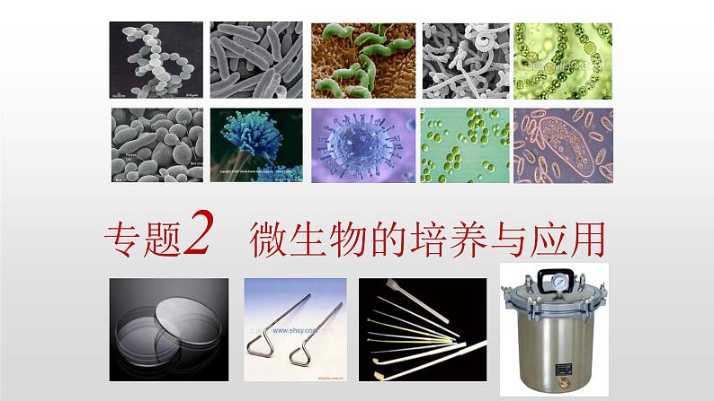 高中生物人教版 (新课标) 选修1 2.1 微生物的实验室培养 课件01