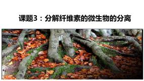 生物人教版 (新课标)课题3 分解纤维素的微生物的分离课堂教学ppt课件