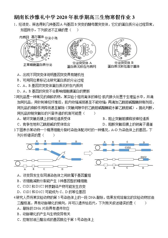 湖南长沙雅礼中学2020年秋季期高三生物寒假作业3 练习01