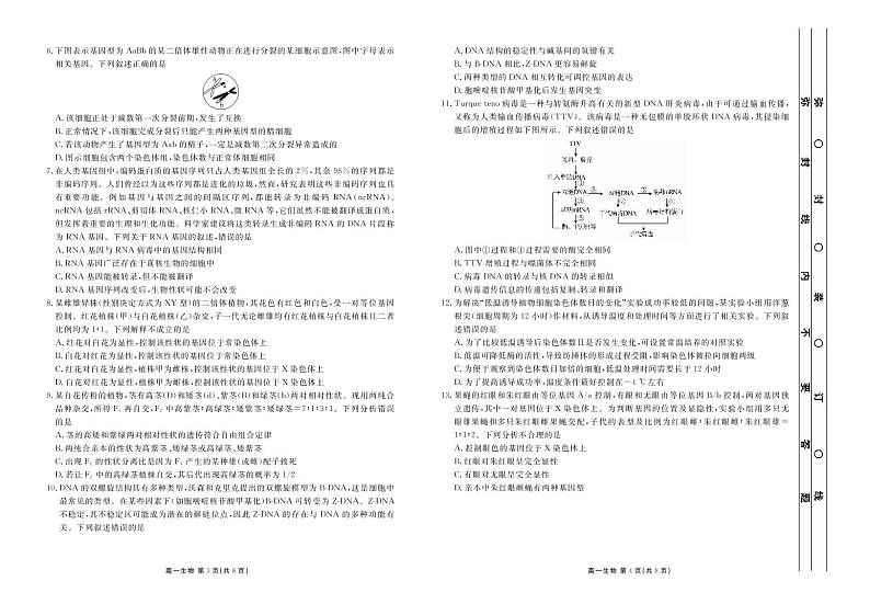 2020-2021学年广东省普通高中高一下学期5月教学质量联合测评生物试题 PDF版02
