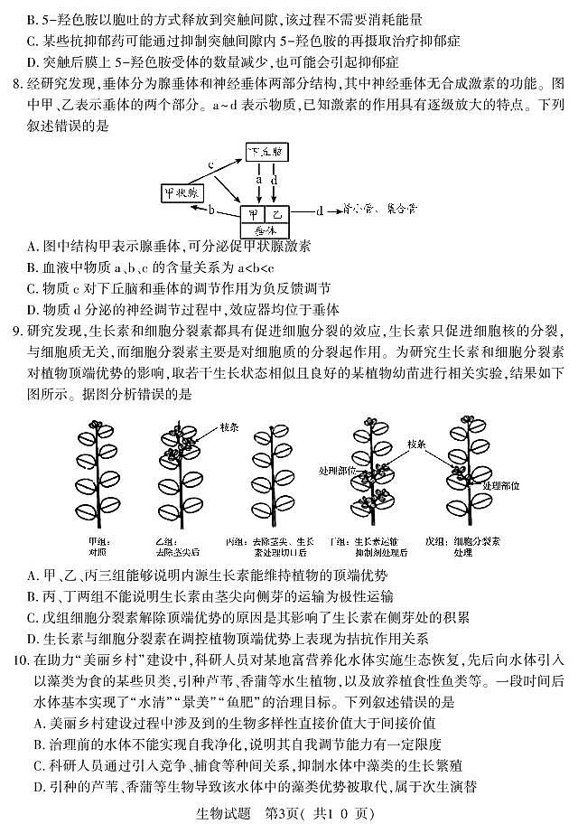 2021届山东省潍坊市四县市(安丘、诸城、五莲、兰山)高三下学期5月高考模拟生物试题 PDF版03