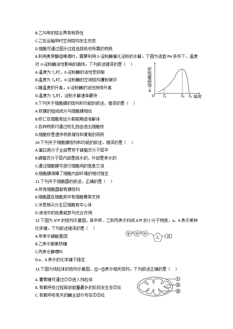 2020山東生物合格考真題及參考答案第2頁