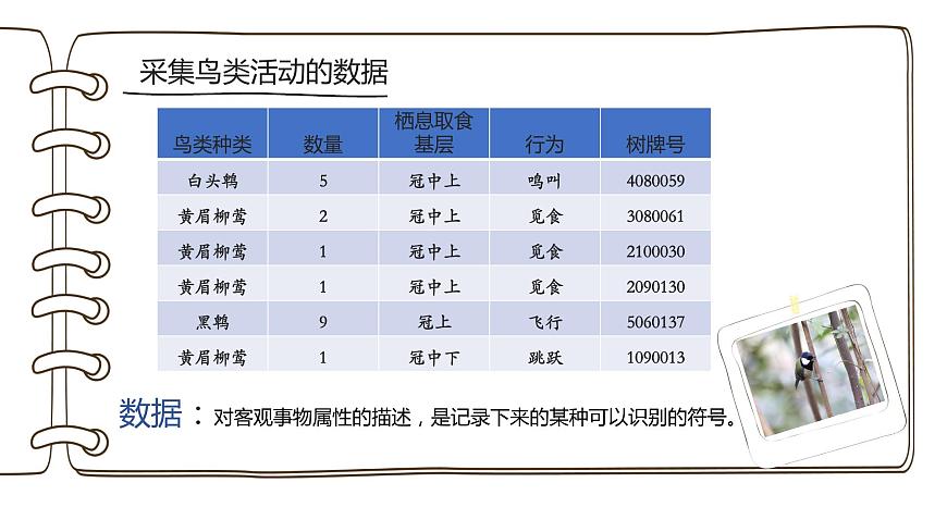 項目一：探秘鳥類研究第2頁