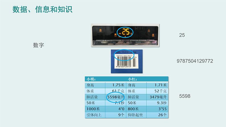 1-1身边的数据课件PPT第5页